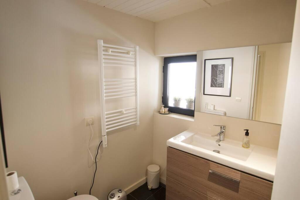 Apartament Central Amb Terrassa ألب المظهر الخارجي الصورة